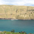 DSC00427